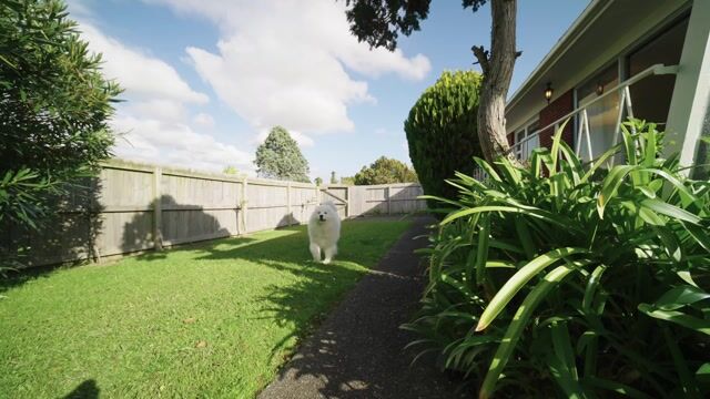 Property video