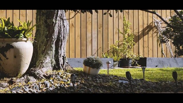 Property video