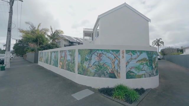 Property video